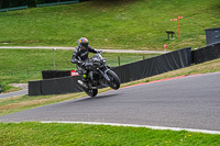 Lower Group Silver_Grey Bikes